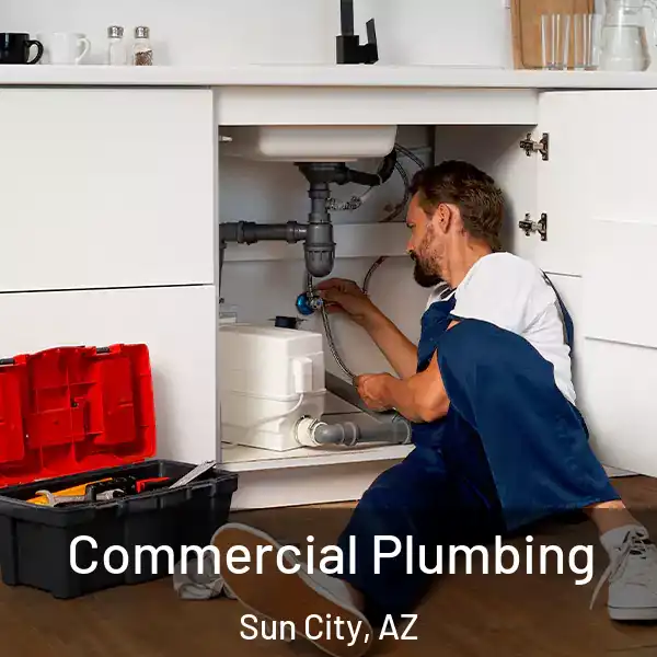  Commercial Plumbing Sun City, AZ