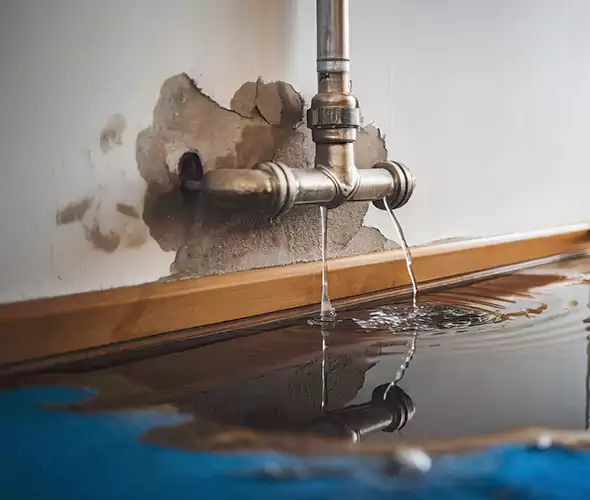 Professional Water Damage Restoration Experts in Sun City, AZ — Fast, Reliable & Certified